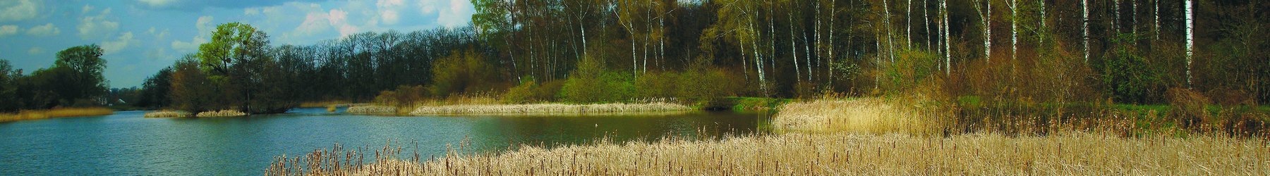 Zdjęcie banner nagłówka